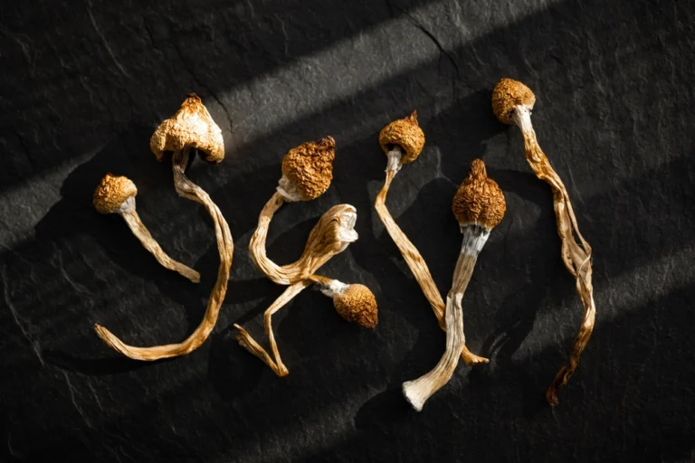 Assortment of psilocybin mushrooms