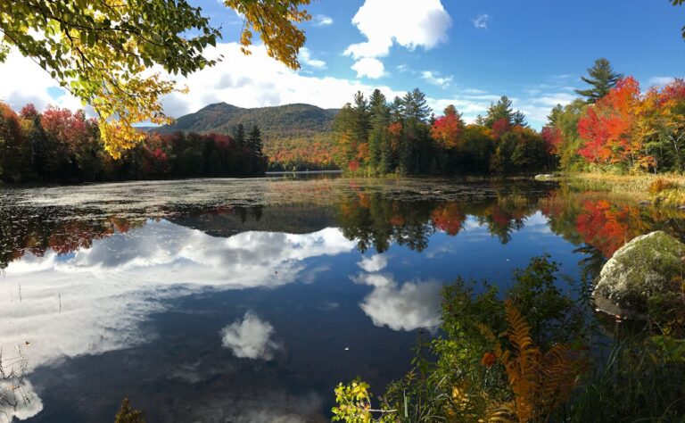 The scenic beauty of New Hampshire's environment contributing to healing and recovery.